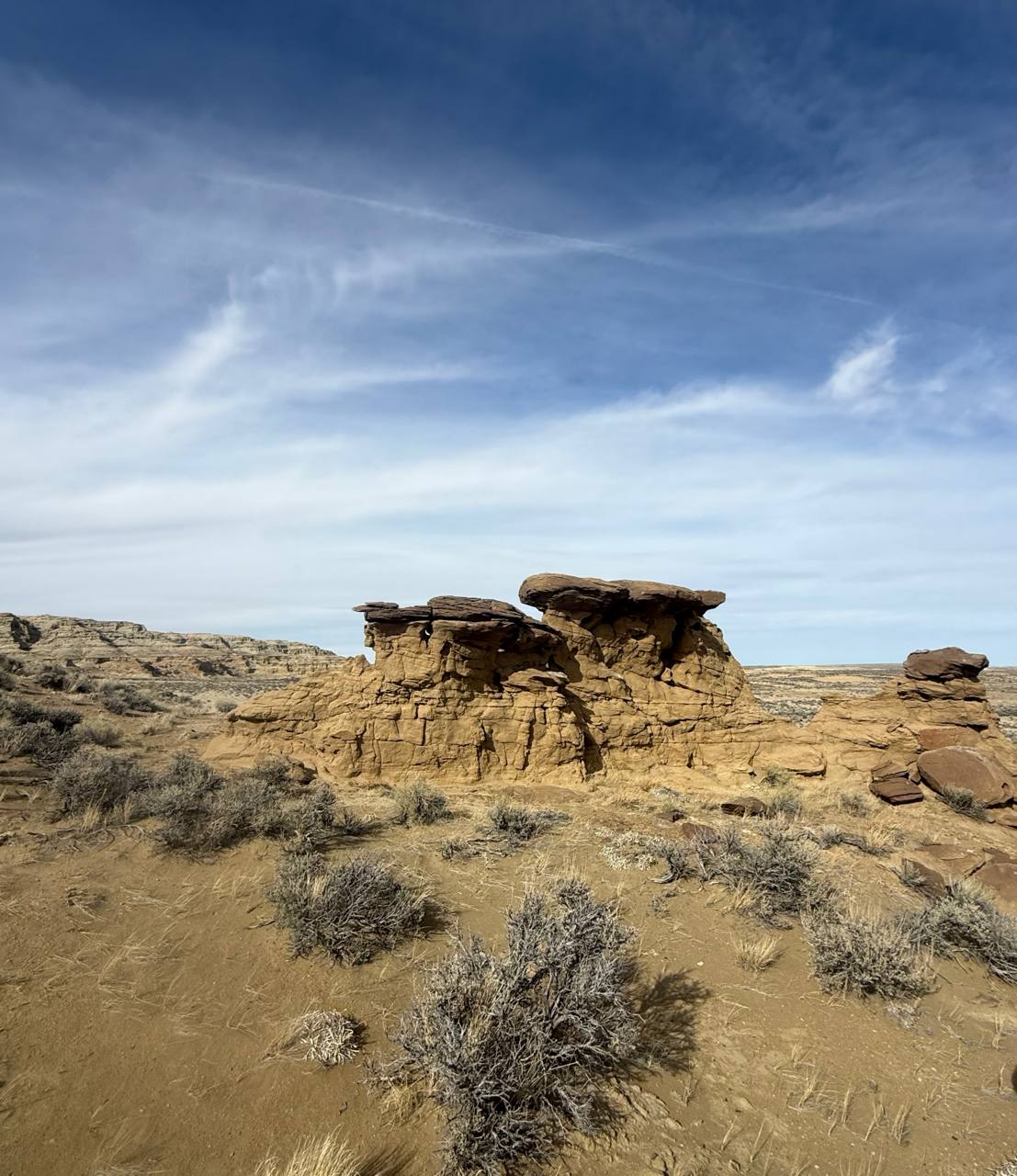 Field validation photo 1