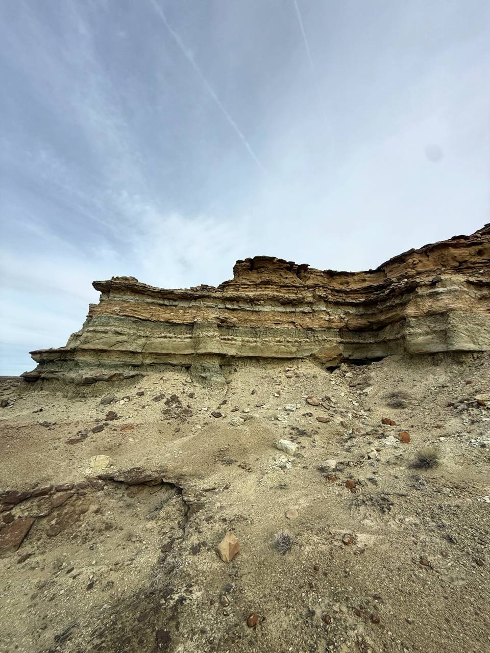 Field validation photo 2